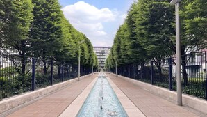 A long, straight pathway with a central water feature, flanked by trees and metal fences. - Luxury Flat in Chelsea Bridge (Greater London)