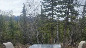 Terrain de l’hébergement