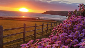 A sunset over a coastal landscape with a wooden fence and purple flowers in the foreground.