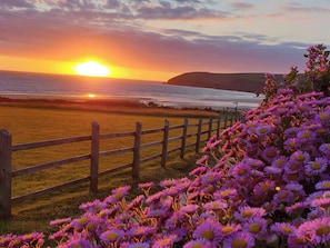A sunset over a coastal landscape with a wooden fence and purple flowers in the foreground. - Dingle Dell (Braunton)