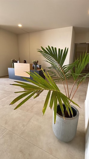 Un espace d’accueil comprenant un comptoir de réception, des plantes en pot et un sol carrelé.