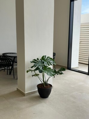 Una planta Monstera en maceta en una habitación moderna con comedor y ventanas grandes.