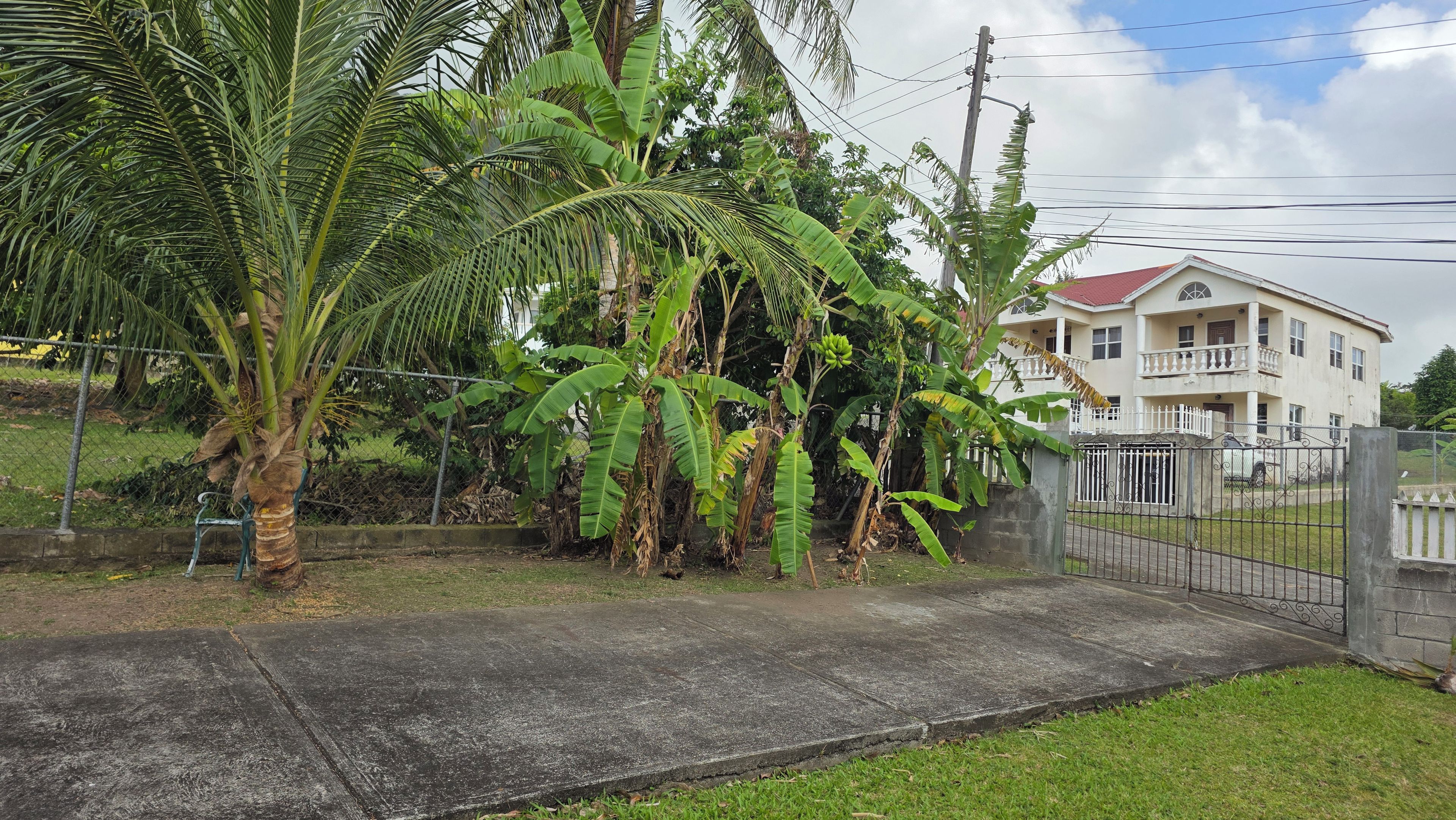 Un quartier résidentiel comprenant une maison, un chemin en béton et une végétation luxuriante, notamment des bananiers.