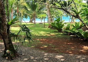 Ein tropischer Garten mit einem Pfad zum Strand.