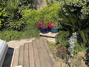 Terras