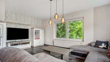Fernseher