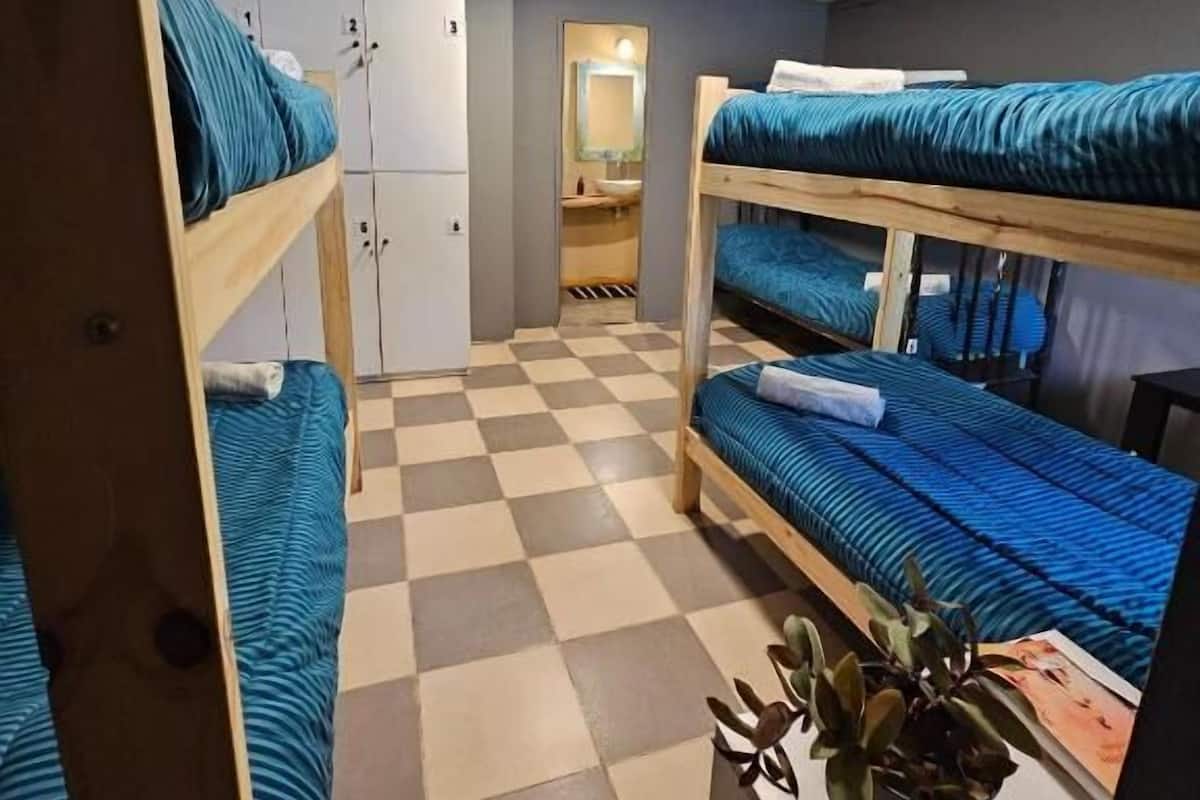 Shared Dormitory, Mixed Dorm (Ñire) | Free WiFi