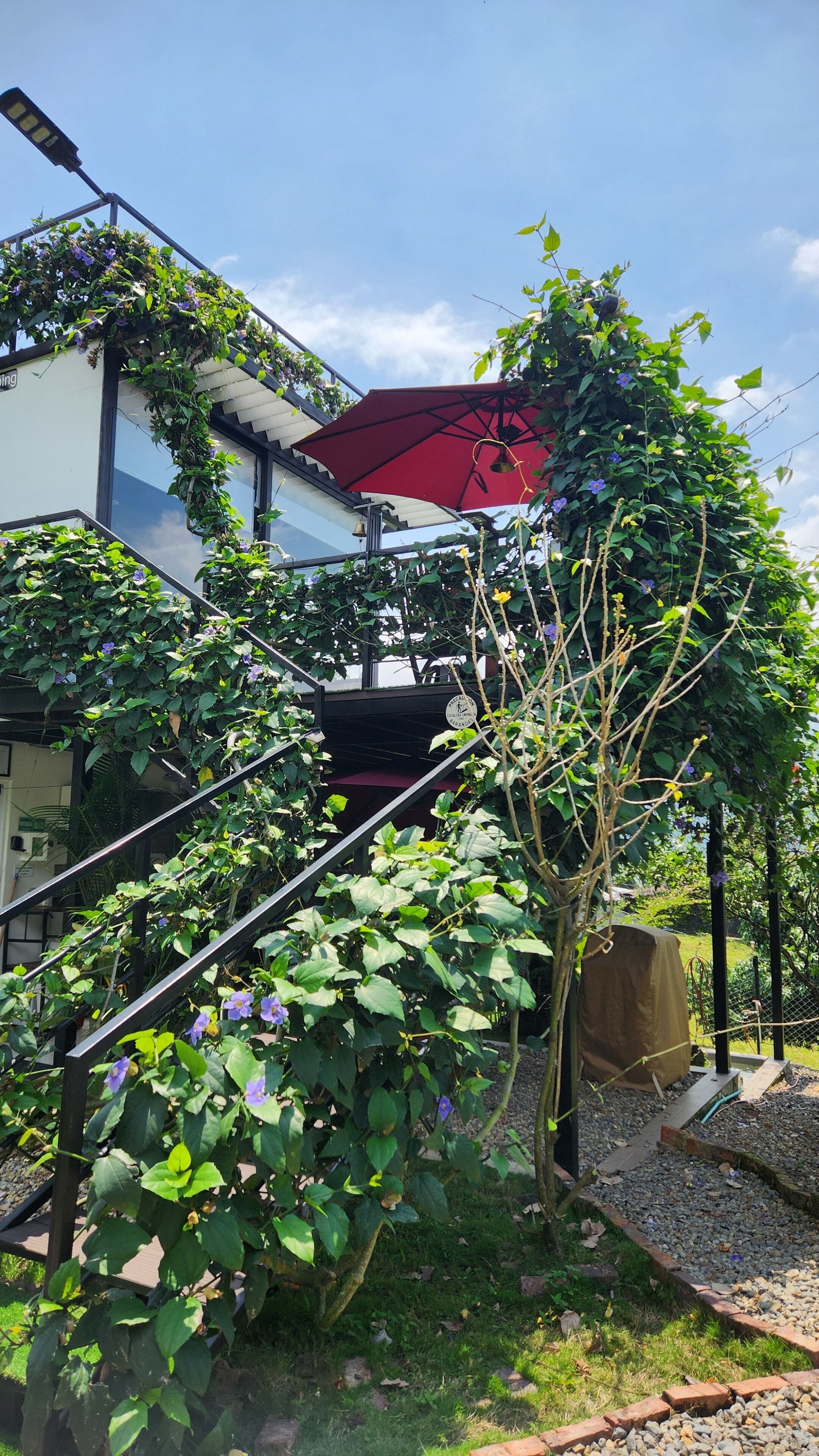 Deluxe Suite, Balcony, Mountain View | Property grounds