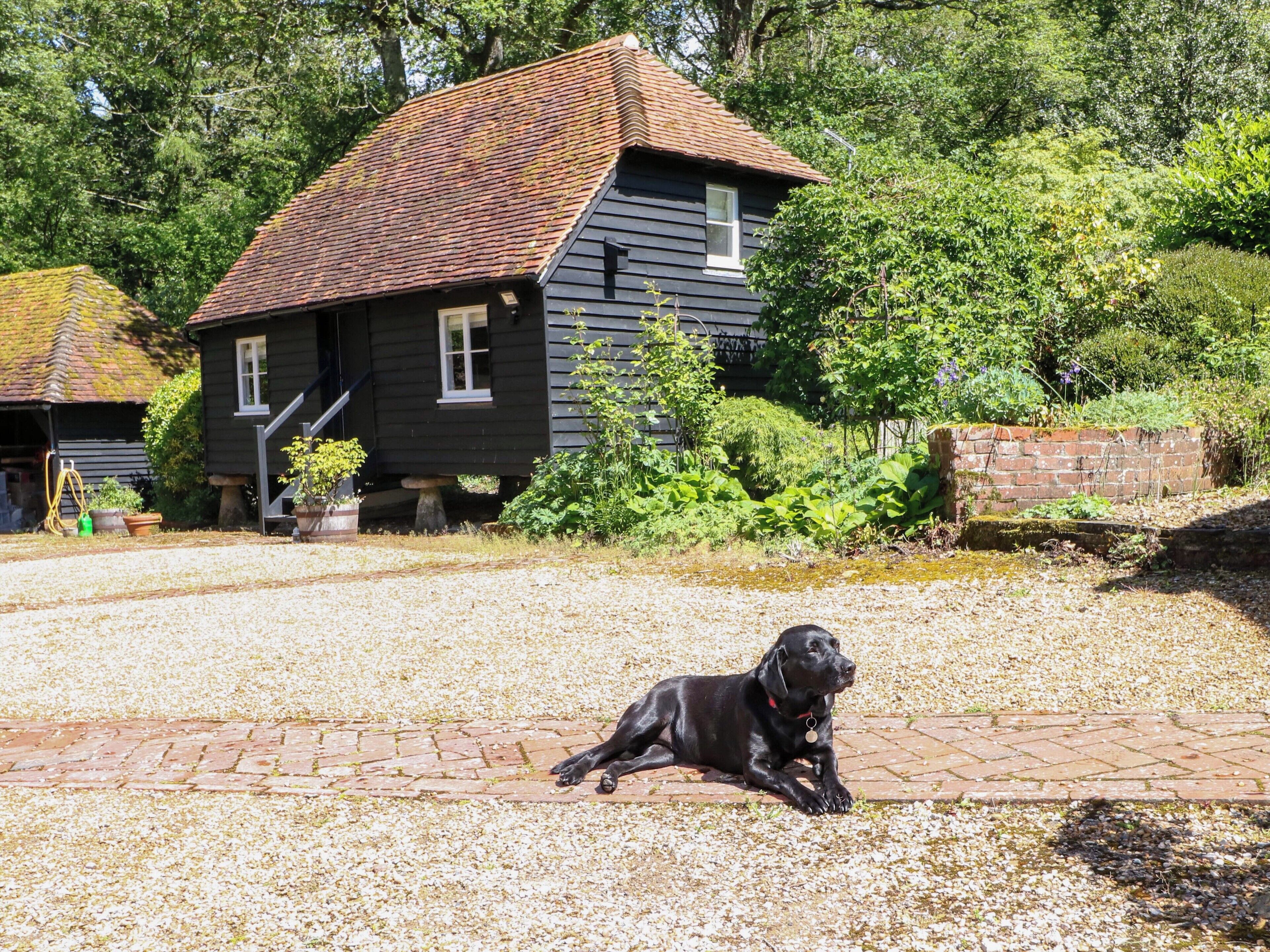 A black dog lying on a brick pathway in front of a house with a red roof.