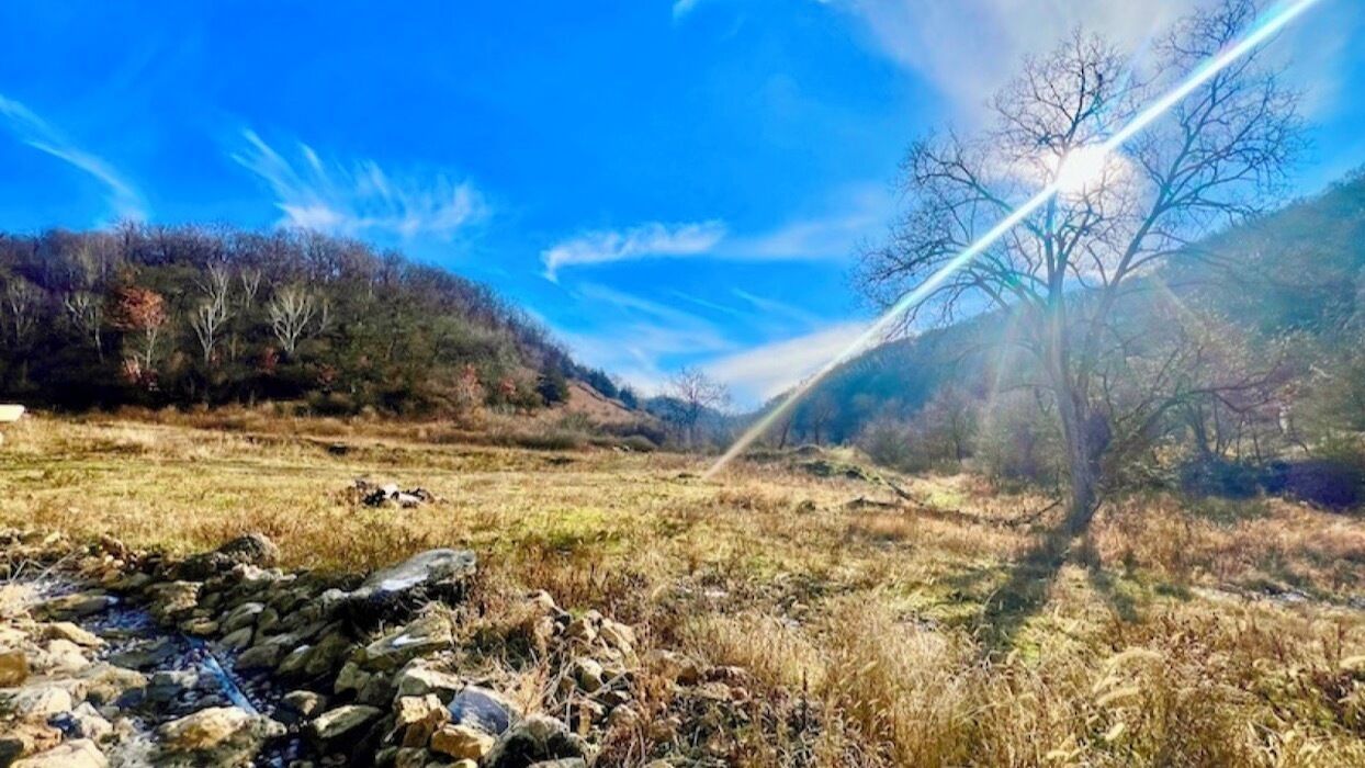 A natural landscape with a stream, trees, and a clear sky.