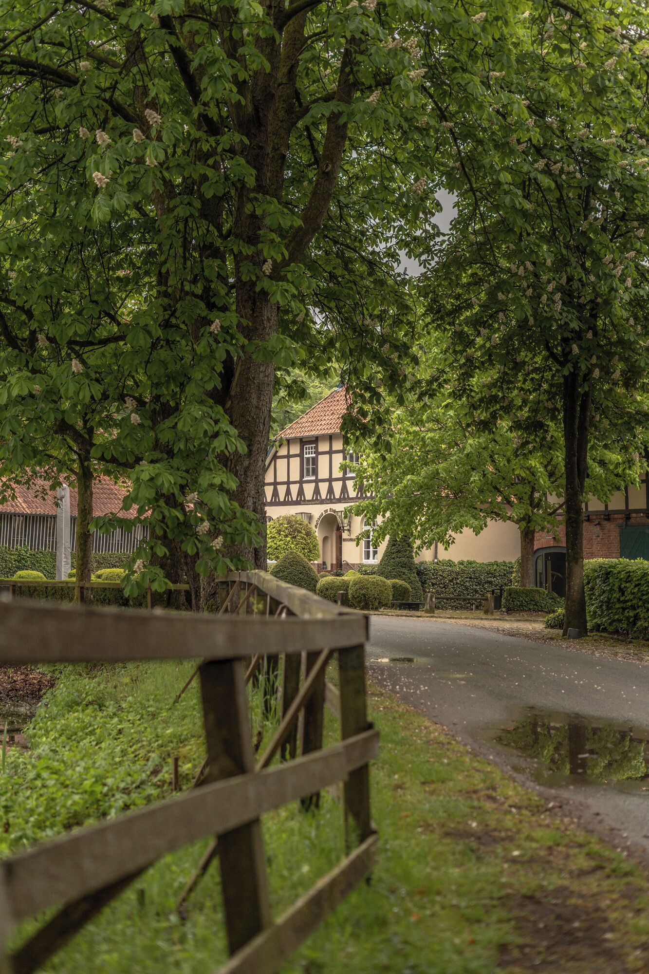A traditional half-timbered building with a gated entrance, surrounded by lush greenery and a wet road reflecting the structure.