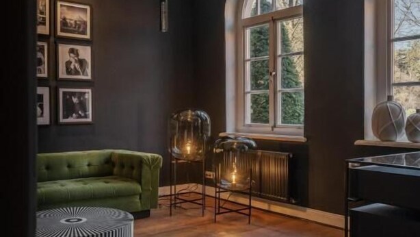 Una habitación con un sofá verde, un tapete de cuero de vaca, un radiador y un amplio ventanal de arco.