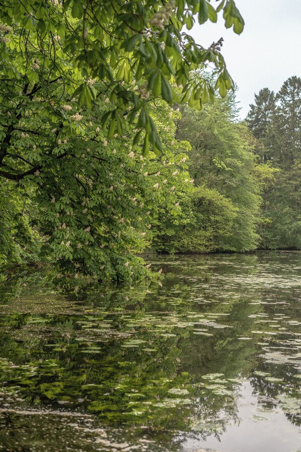 A natural landscape with a body of water surrounded by dense foliage and trees.