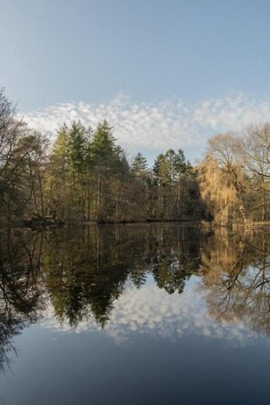 Ein ruhiger See, in dem sich Bäume im Wasser spiegeln, umgeben von einem Wald.