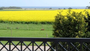 Un paisaje rural con un campo amarillo, un campo verde y un árbol en primer plano.