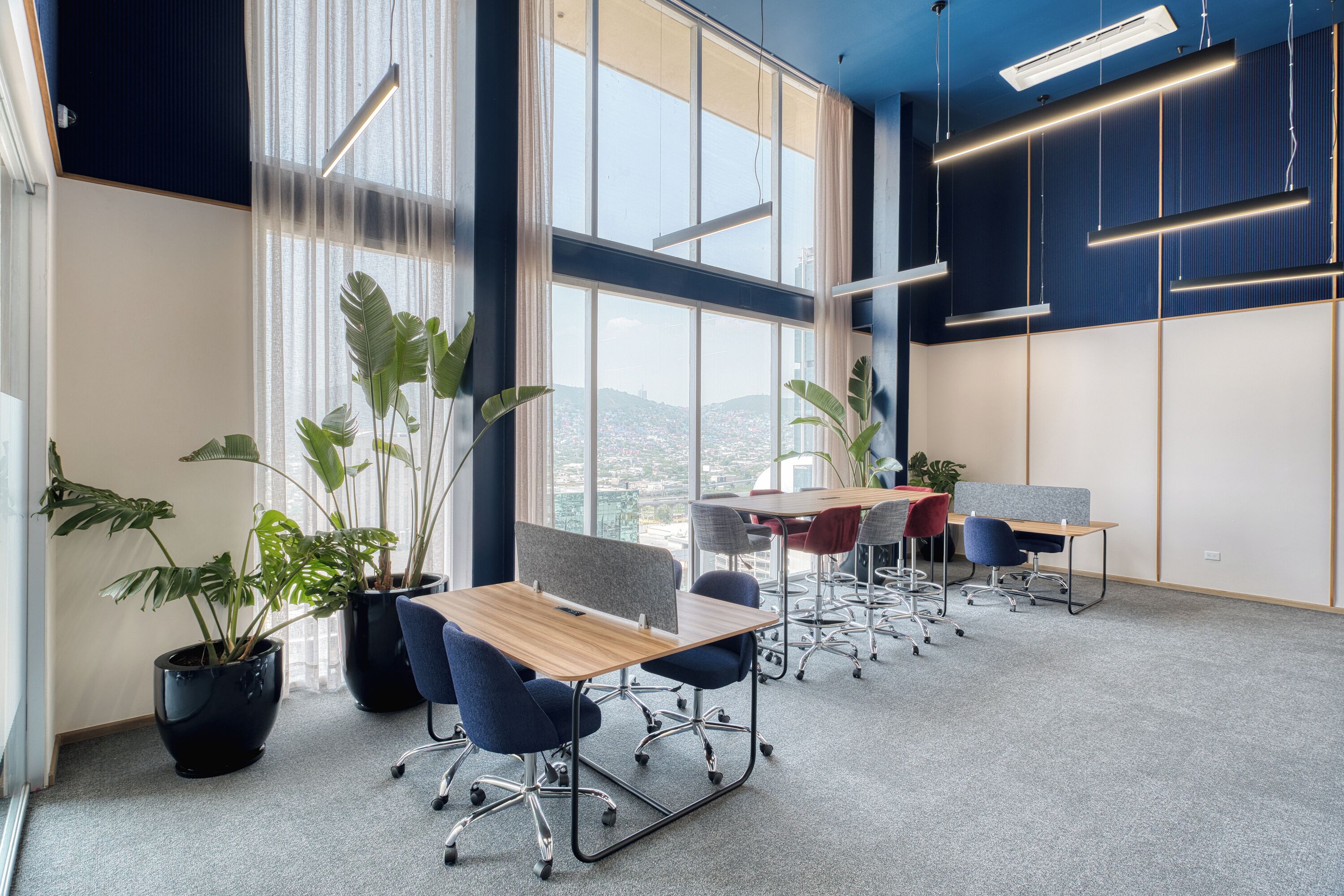 A modern office with large windows, potted plants, and a view of a cityscape.
