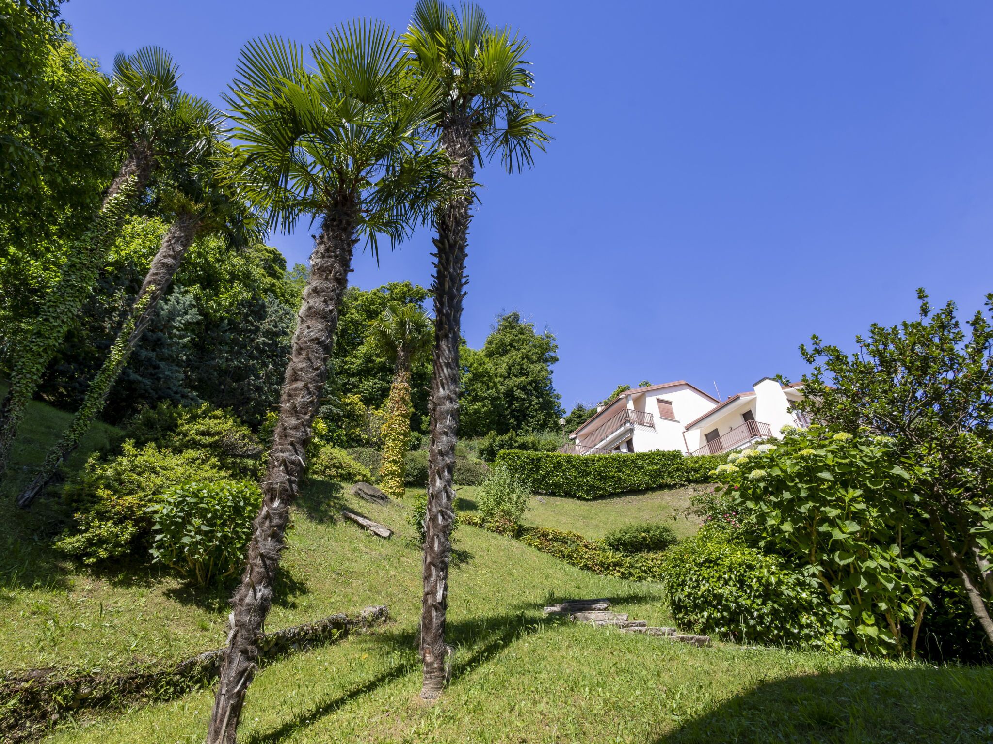 Terrain de l’hébergement 