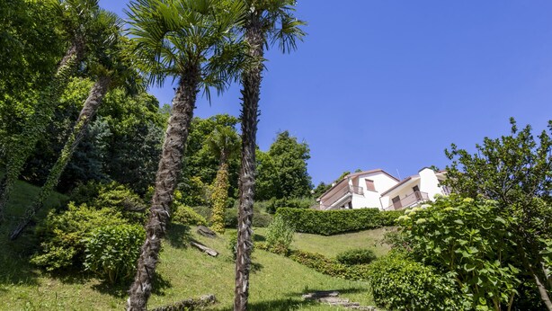 A lush green landscape with palm trees and a white building with balconies. - Apartment Giusi by Interhome (Belgirate)