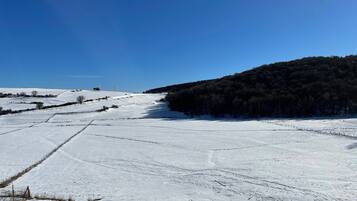 Paesaggio innevato con cielo sereno, un campo recintato e un pendio boscoso.