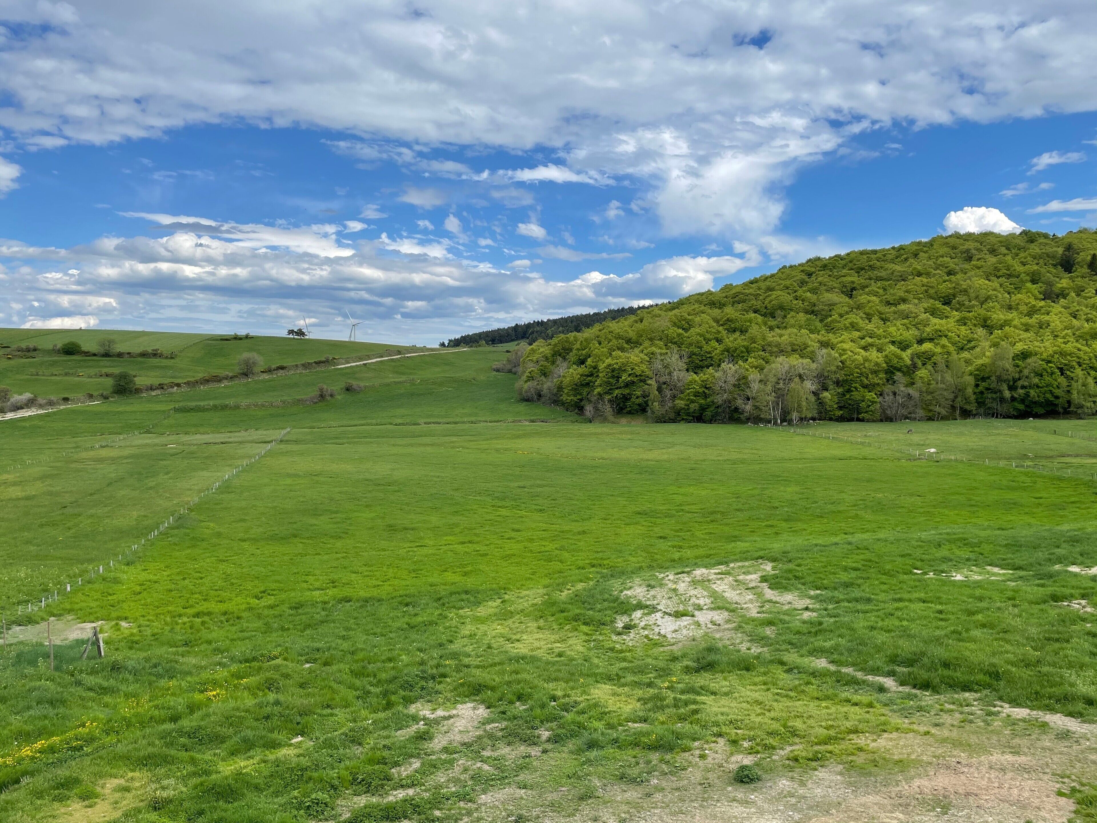 A green field with a fence, a hill with trees, and a cloudy sky.