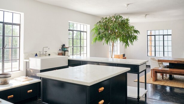 Une cuisine moderne dotée d’un grand îlot central, de meubles noirs et d’une plante en pot.