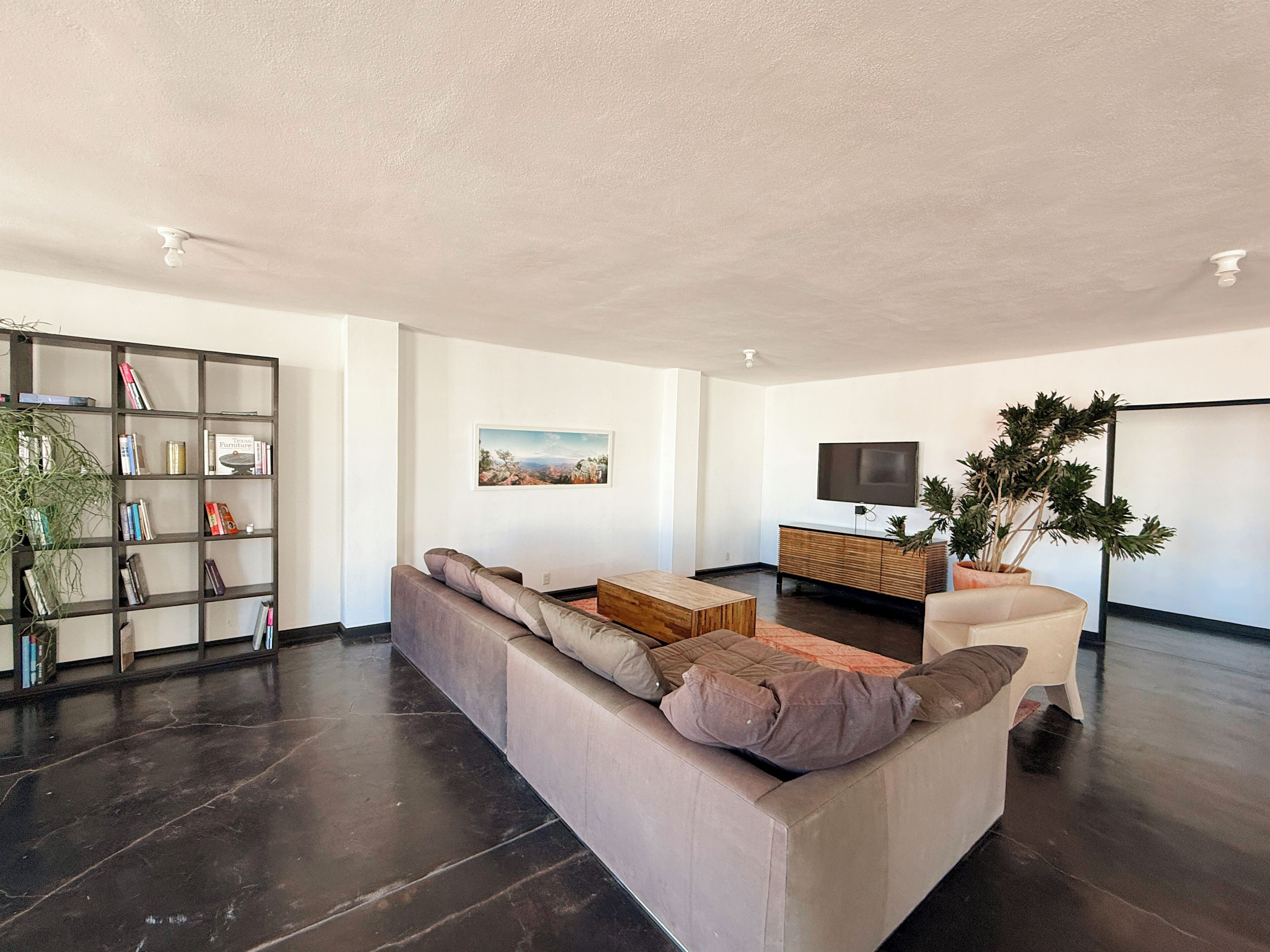 Un salon moderne avec un canapé d’angle, une table basse, une bibliothèque, un téléviseur à écran plat et une grande plante en pot.