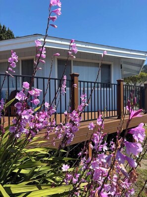 Exterior detail - Oceanview Studio Retreat w/ Private Beach Access (Smith River)