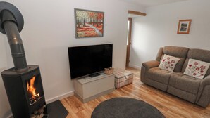 A living room with a wood-burning stove, a flat-screen TV, a sofa with floral cushions, and a painting on the wall. - The Gallops (Barry)