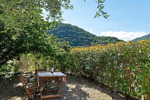 A vineyard with a table and chairs set up for outdoor dining, surrounded by lush greenery and a mountain in the background.