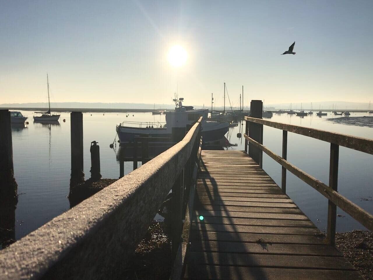 Marina