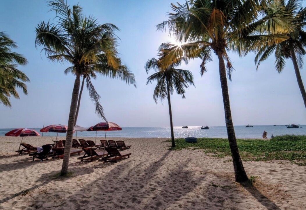A beach with palm trees, sun umbrellas, and lounge chairs.