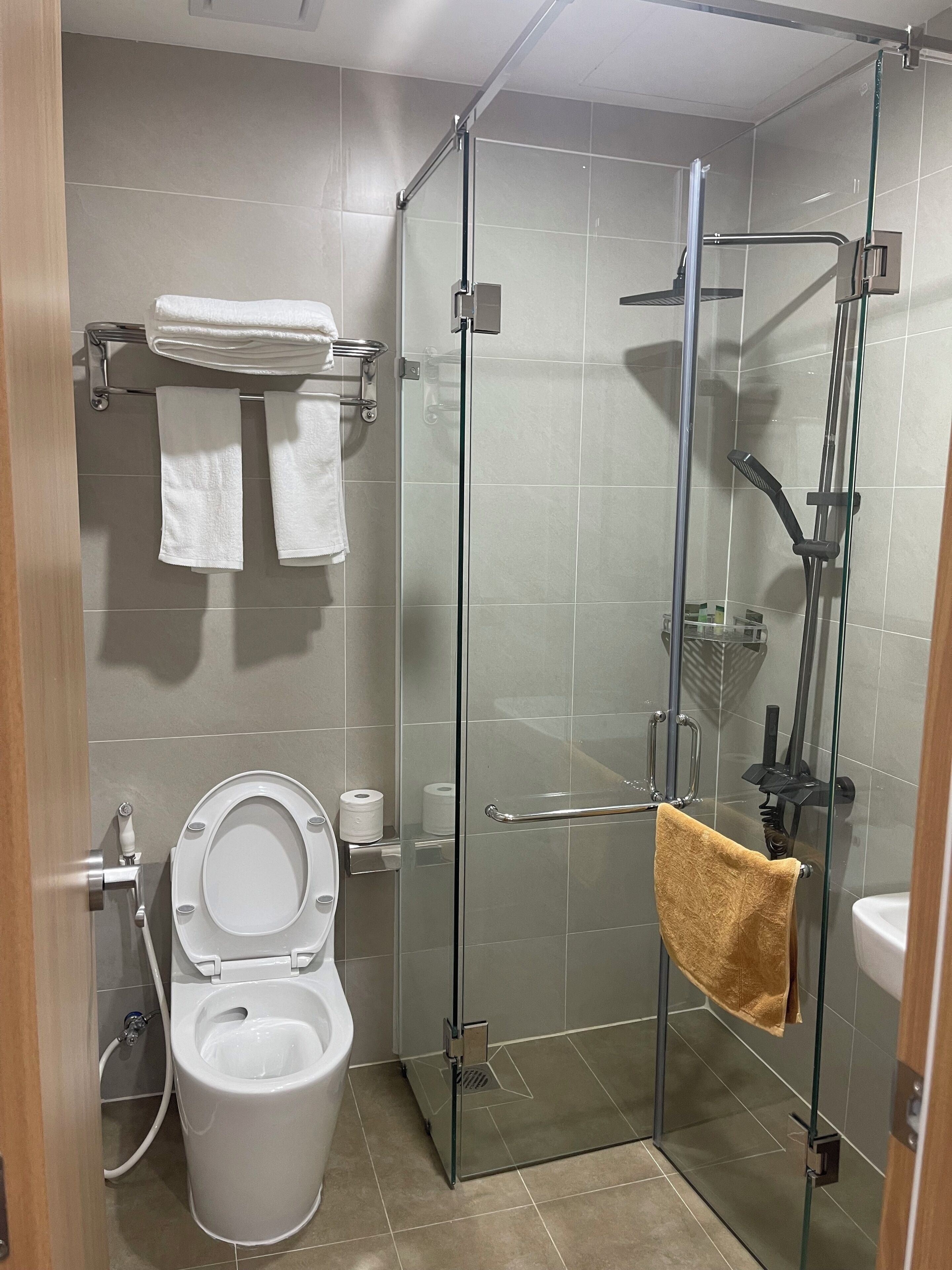 A modern bathroom with a glass-enclosed shower, a toilet, and a sink.