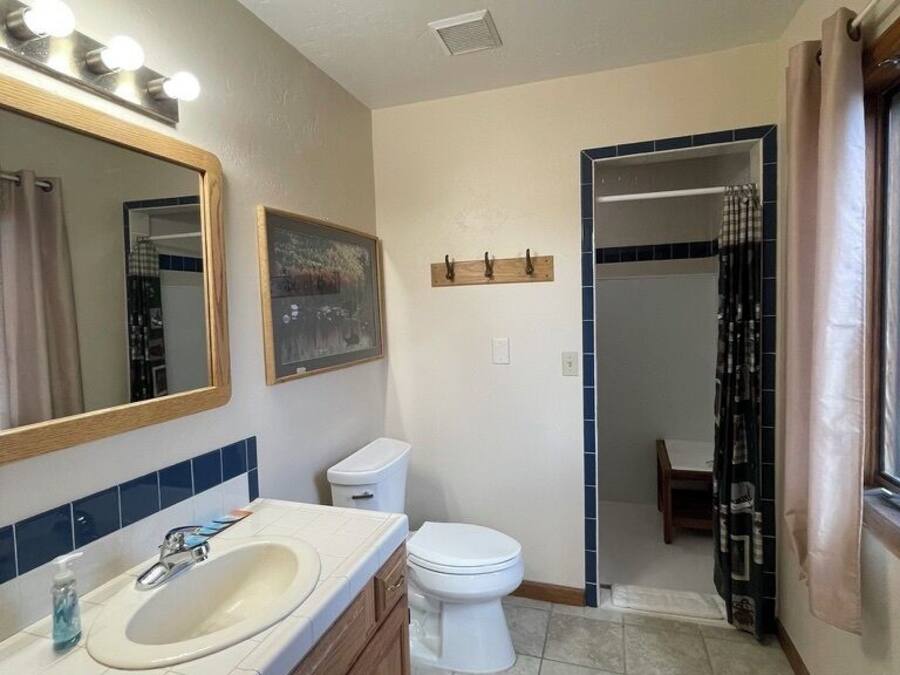 A bathroom with a sink, mirror, toilet, and shower area.