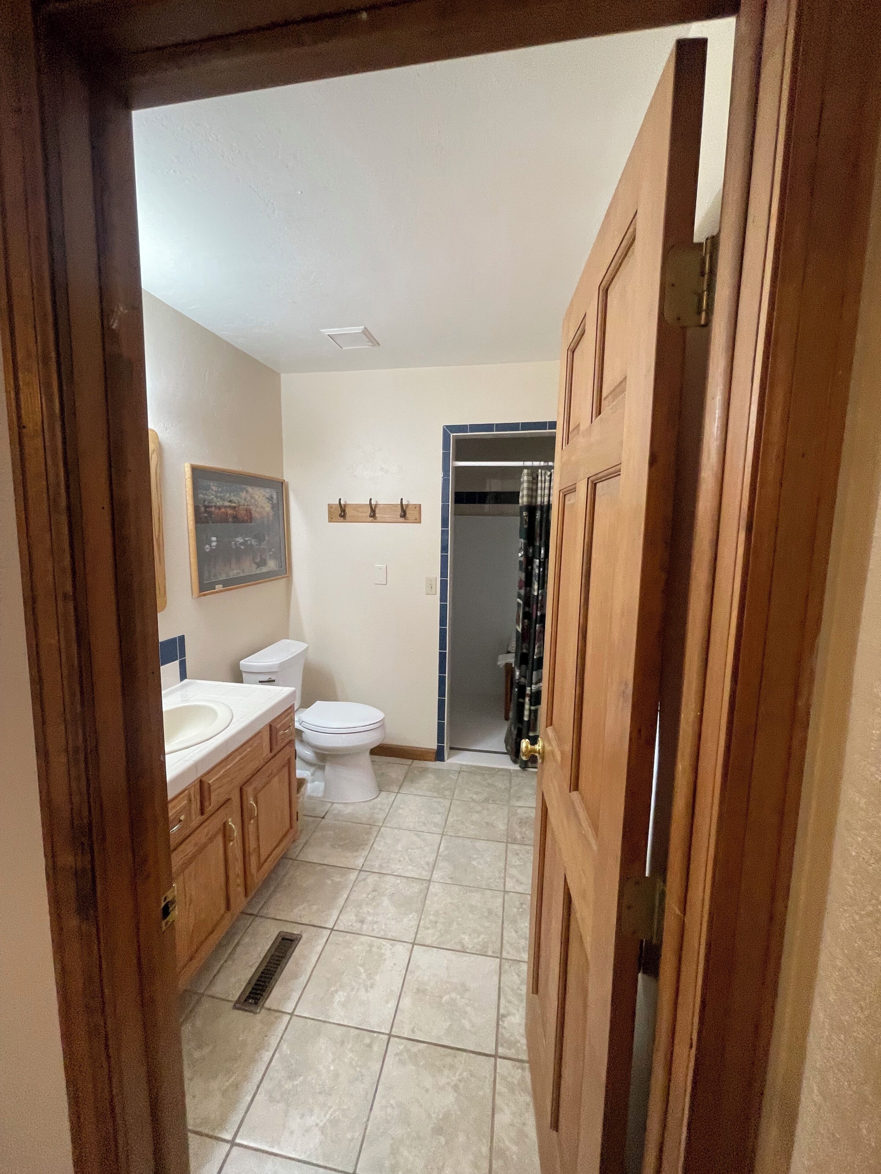 Deluxe Apartment | Bathroom | Hair dryer, soap, shampoo, toilet paper