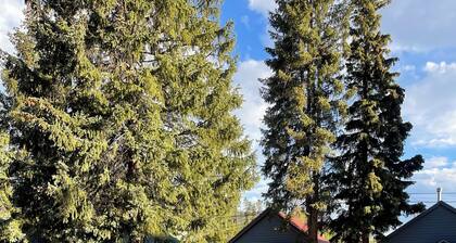 Lone Pine Cabins