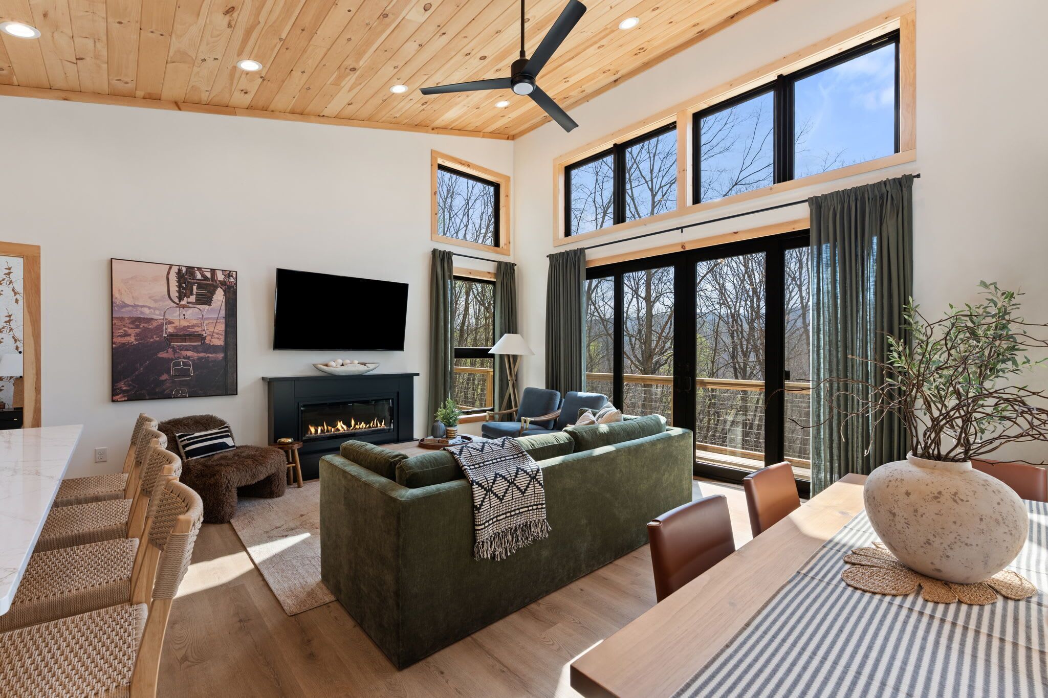 TV, fireplace