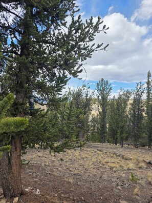Miscellaneous - Luxury Off-Grid Mountain Cabin on 4 Acres, Views, Fireplace & Game Room (Jefferson)
