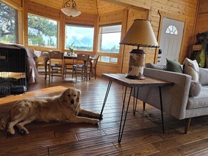 Living area - Luxury Off-Grid Mountain Cabin on 4 Acres, Views, Fireplace & Game Room (Jefferson)
