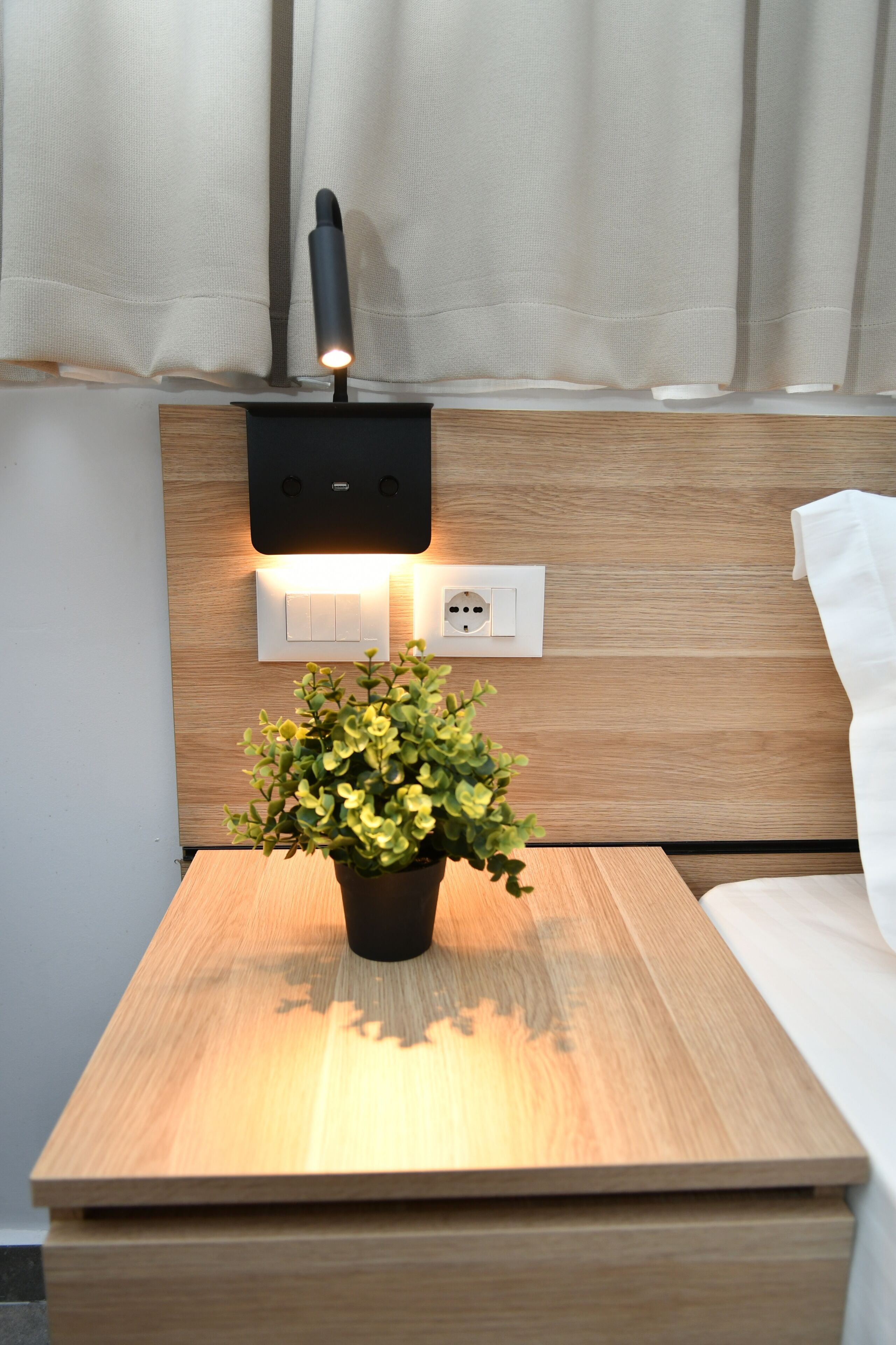 A bedside table with a potted plant, a wall-mounted light, and a power outlet.