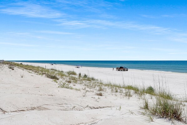 House, Multiple Beds (Turtle's Nest) | Beach | On the beach