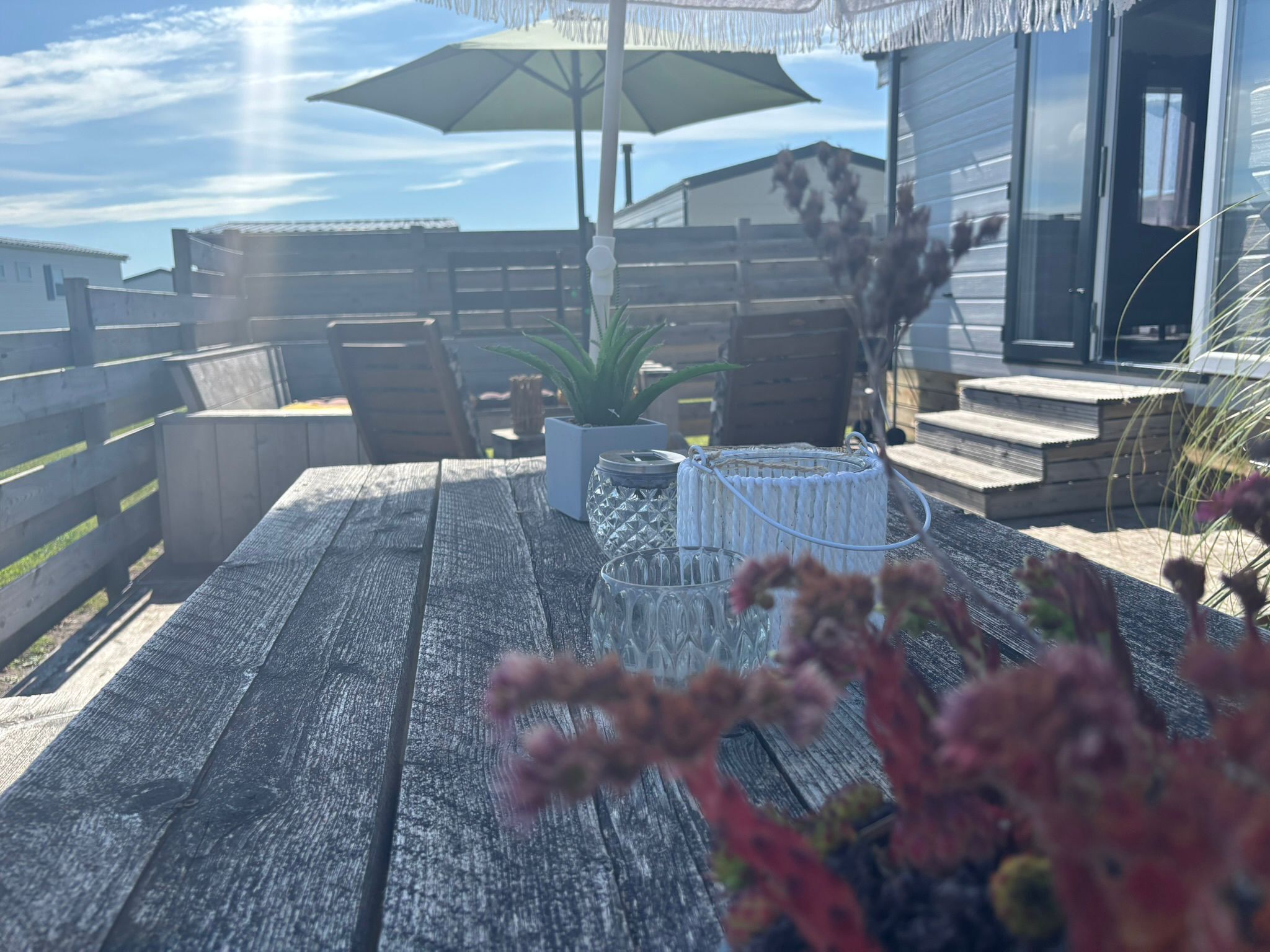 Terras