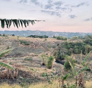 Miscellaneous - CAELO | Peaceful Mountain View Rive (Pililla, Calabarzon, Rizal)