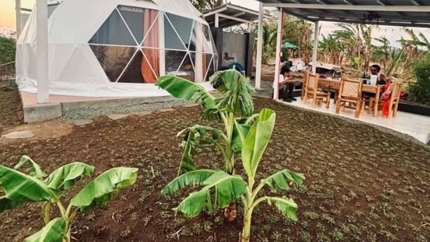A geodesic dome structure with a covered outdoor area and a garden with banana plants.