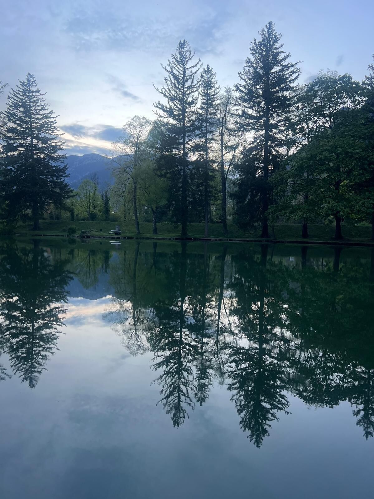 Ein ruhiger See spiegelt Bäume und einen wolkenlosen Himmel wider.