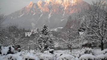 A mountain with snow-covered trees and a building in the foreground.