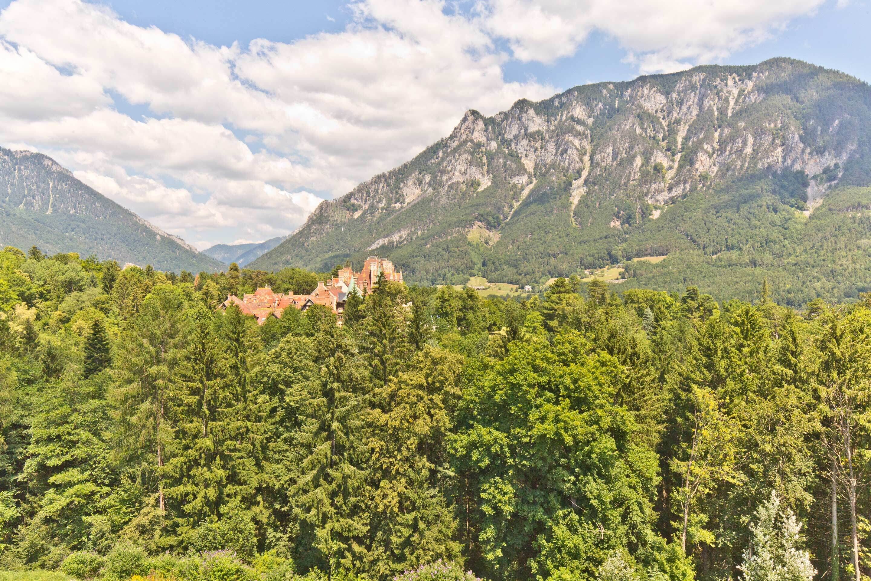Eine gebirgige Landschaft mit einer schlossartigen Struktur, umgeben von dichtem Wald.