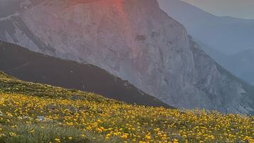 A mountain landscape with a field of yellow flowers and a clear sky.