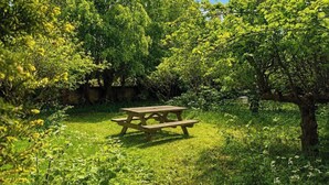 A picnic table in a grassy area surrounded by trees.