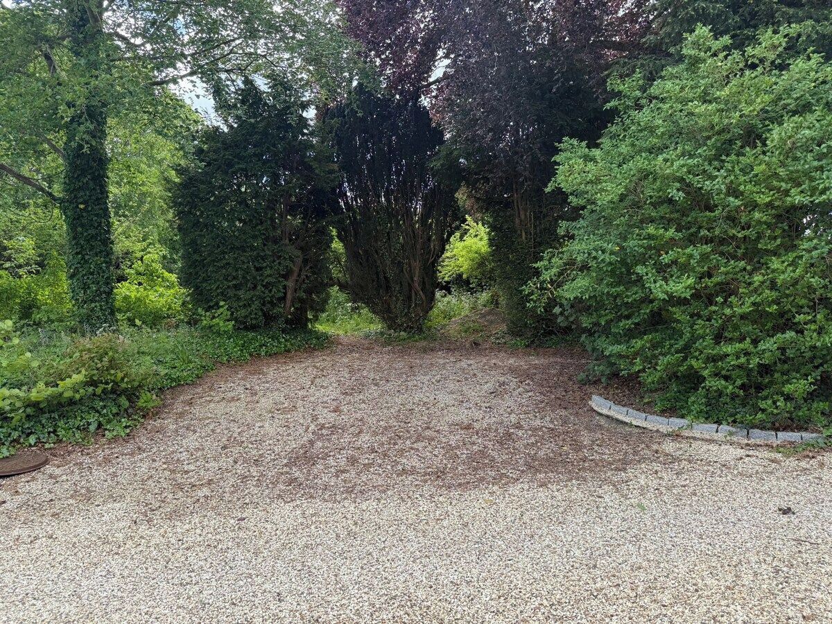 A gravel pathway surrounded by dense greenery and trees.