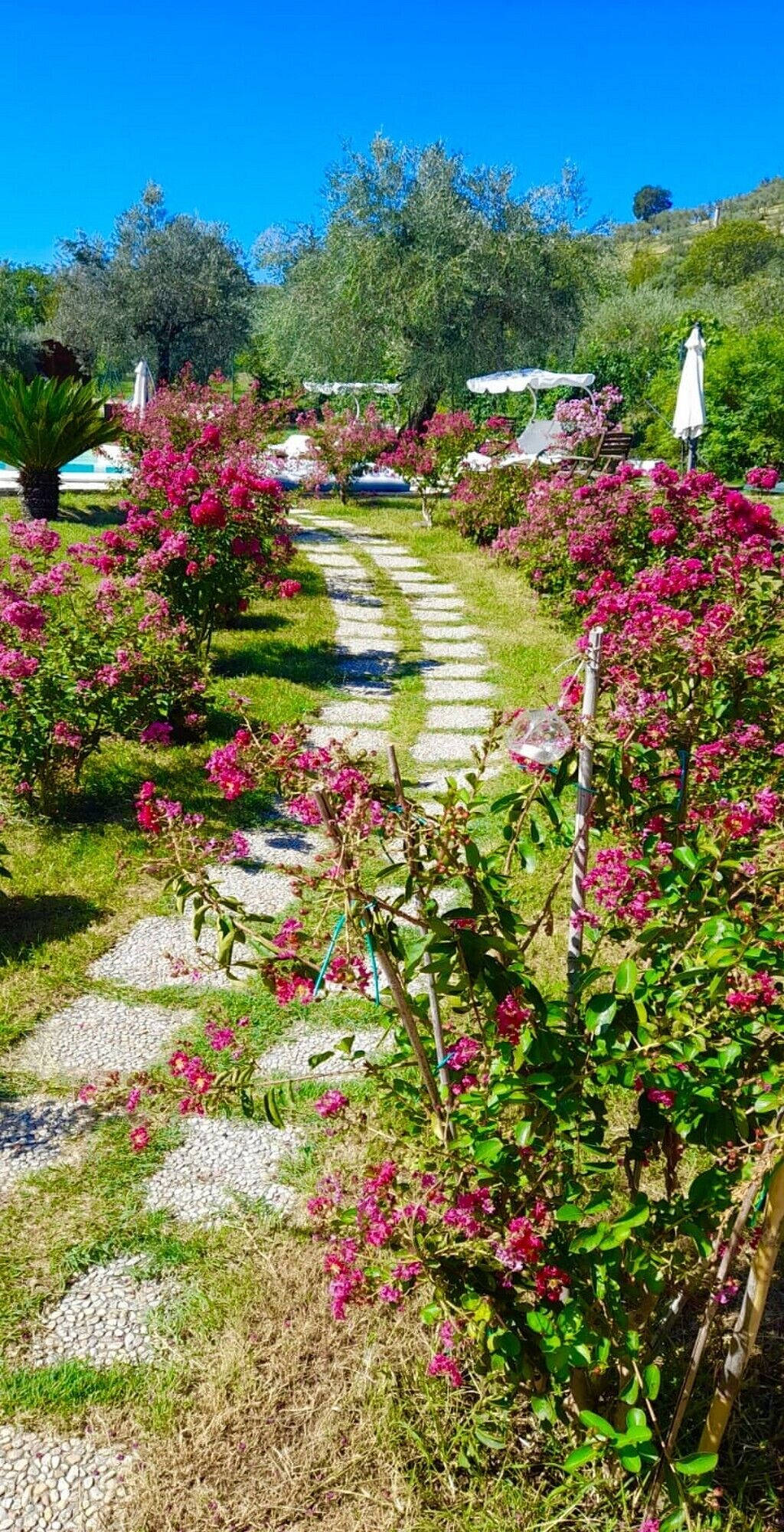 Parco della struttura